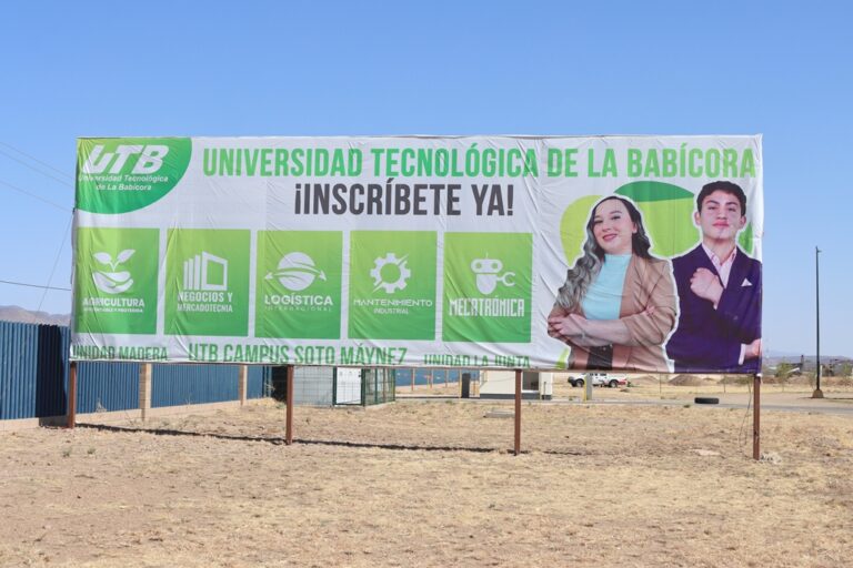 INVERNADERO (3)