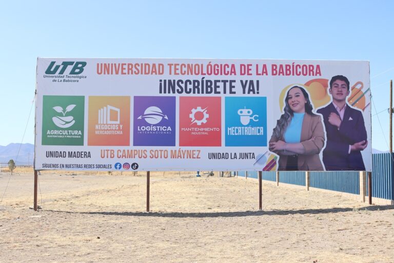 INVERNADERO (4)