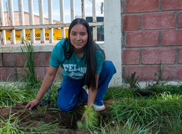 reforetacion-utt-ichijuv (4)