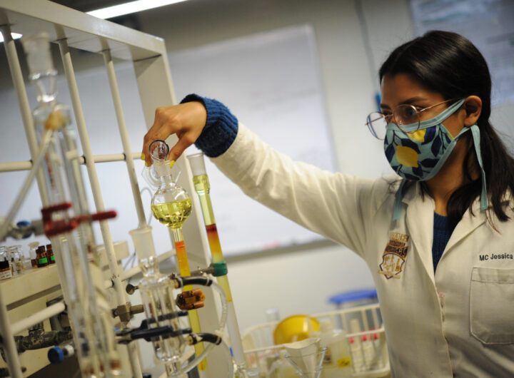 WhatsApp Image 2026-01-13 at 1.04.13 PM (1)