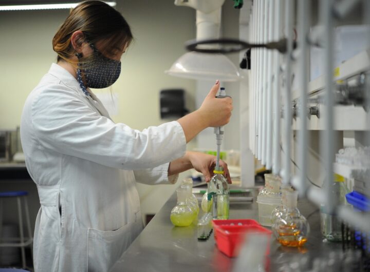 WhatsApp Image 2026-01-13 at 1.04.13 PM