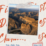 Fiesta Invitation